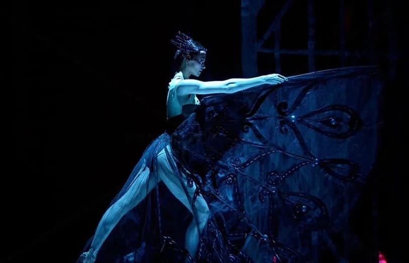 Danseuse déployant un grand voile noir, silhouette découpée