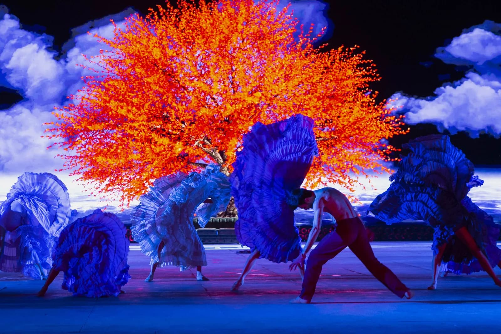 Un arbre orange flamboyant sur un ciel nuageux, les danseurs portant de grands voiles