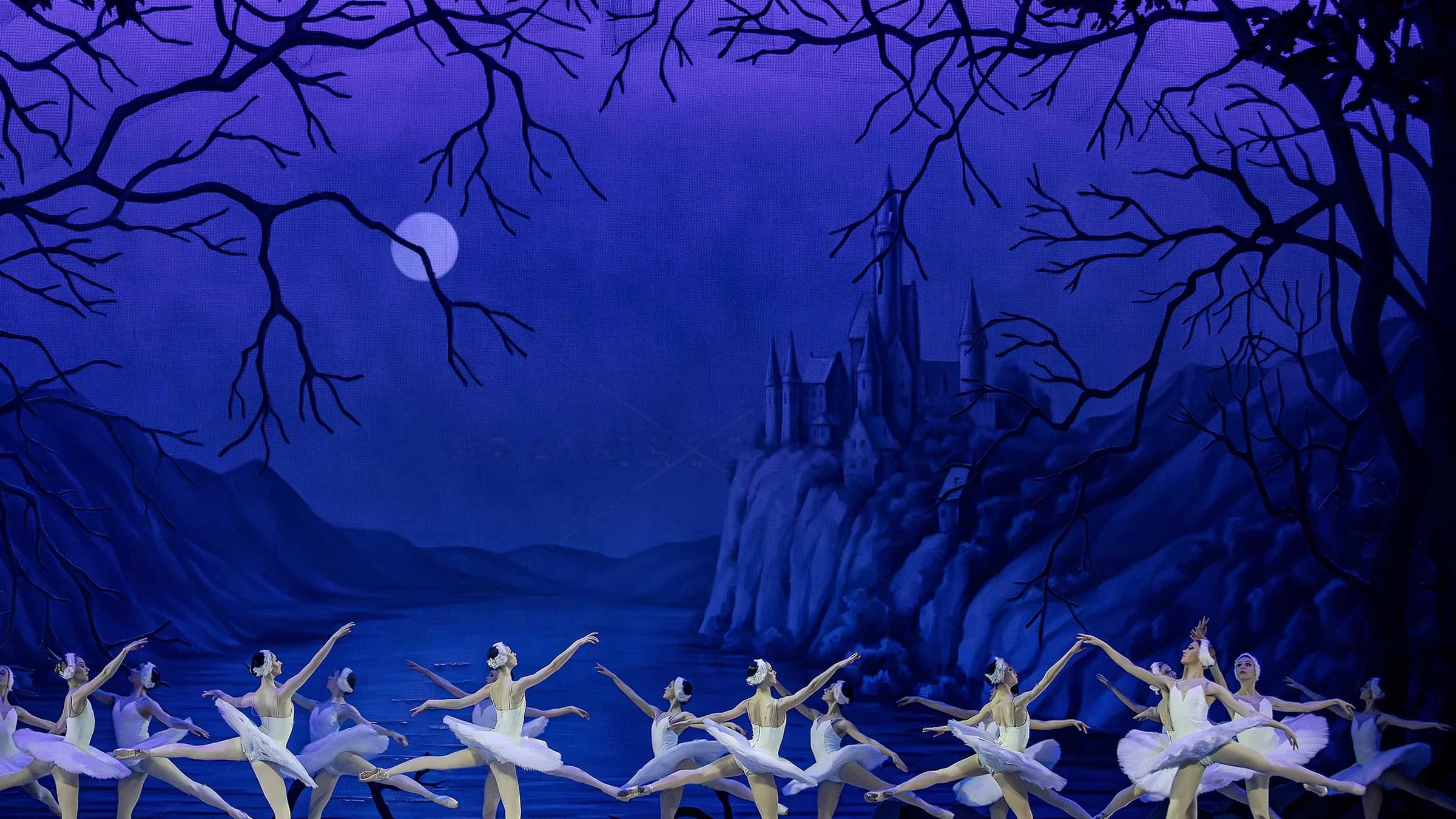 Le corps de ballet en tutus blancs aligné au bord du lac, sous un clair de lune